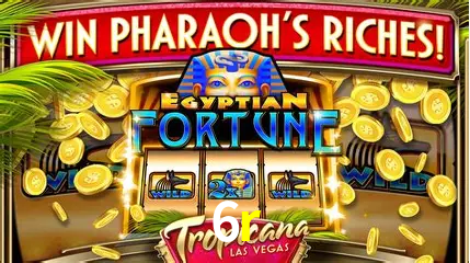 Descubra o Mundo do Cassino Online com 6r